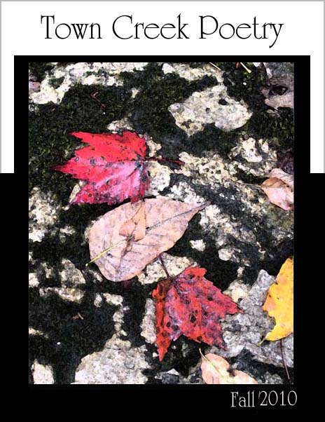 Photo by Kat Holling-Morris